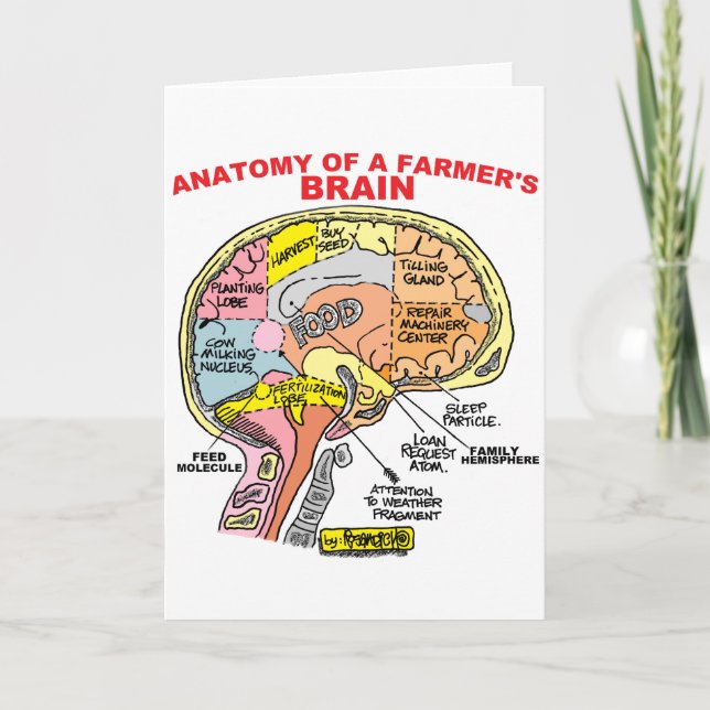 CARTE ANATOMIE DU CERVEAU D'UN AGRICULTEUR (Devant)