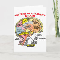 ANATOMIE DU CERVEAU D'UN AGRICULTEUR