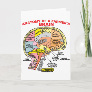 CARTE ANATOMIE DU CERVEAU D'UN AGRICULTEUR