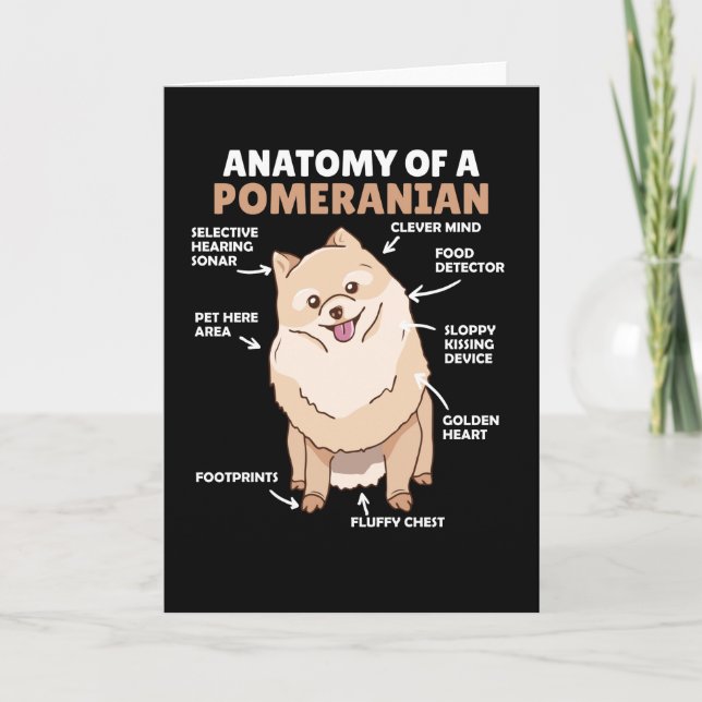 Carte Anatomie D'Un Chien Poméranien Maigre Chien Chien  (Devant)