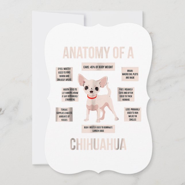 Carte anatomie d'un chihuahua  cadeau drôle de chiot (Devant)