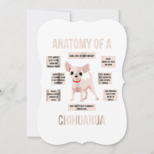 Carte anatomie d'un chihuahua drôle de chiot cadeau