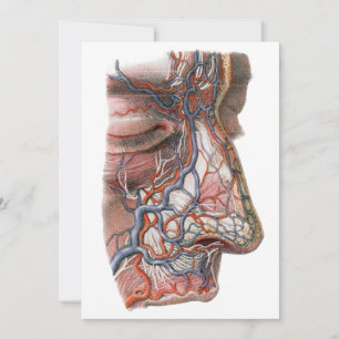 Carte Anatomie humaine de la science vintage, visage ave