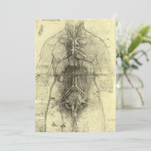 Carte Anatomie humaine de Léonard de Vinci, Torse fémini