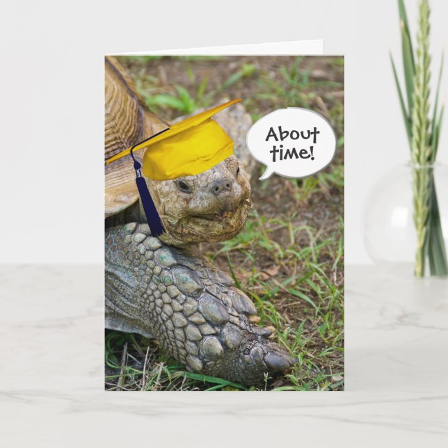 Carte Ancien diplômé de Tortoise avec Casquette d'or (Devant)