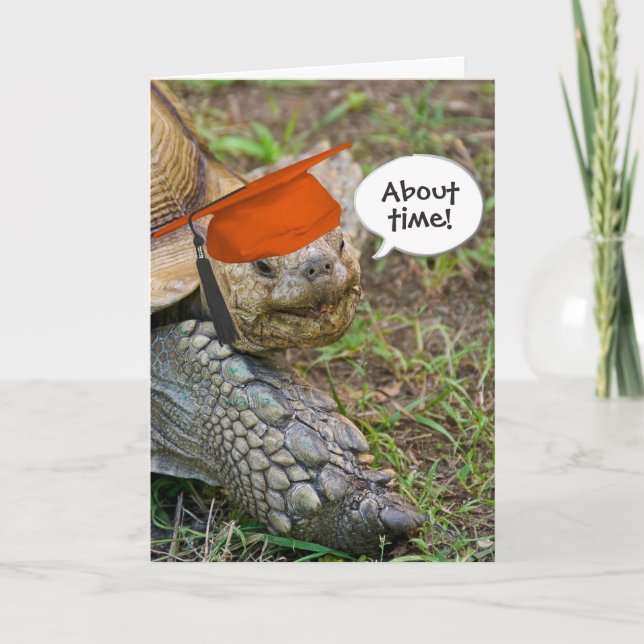 Carte Ancien diplômé de Tortoise avec Casquette orange (Devant)