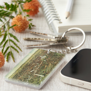 Carte ancienne avec vue panoramique sur Washington