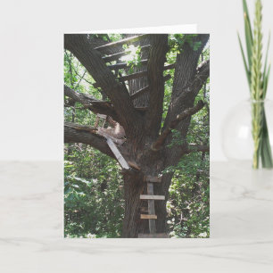 Carte "Andy's Market Treehouse" Birthday Card