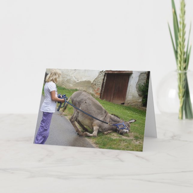 Carte Âne détendu (Devant)