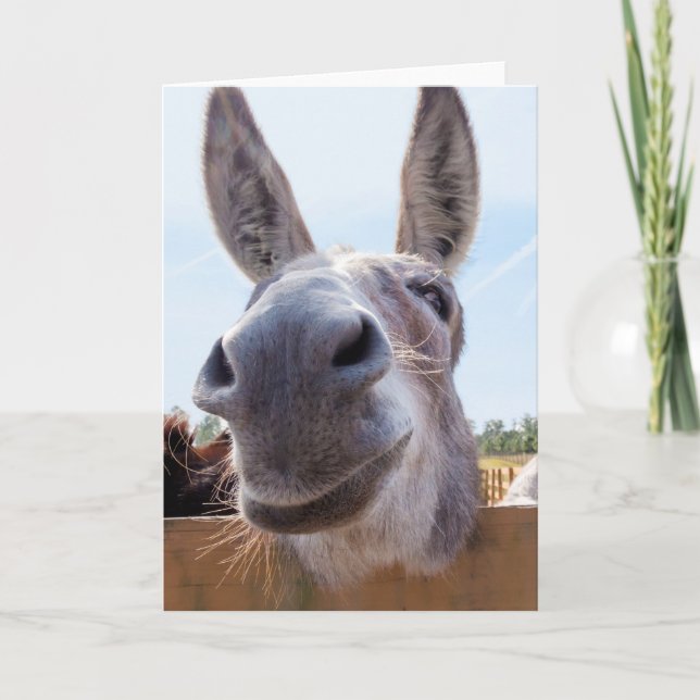 Carte Âne souriant avec Grin Silly (Devant)