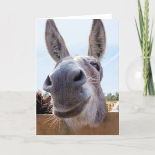 Carte Âne souriant avec Grin Silly