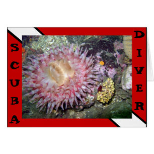 Carte Anémonique Scuba Diver