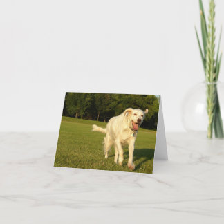 Carte Ange de sourire