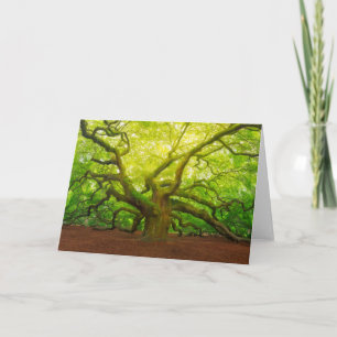 Carte Angel Oak