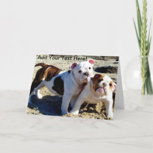 Carte Anglais Bulldogs chiot amour!
