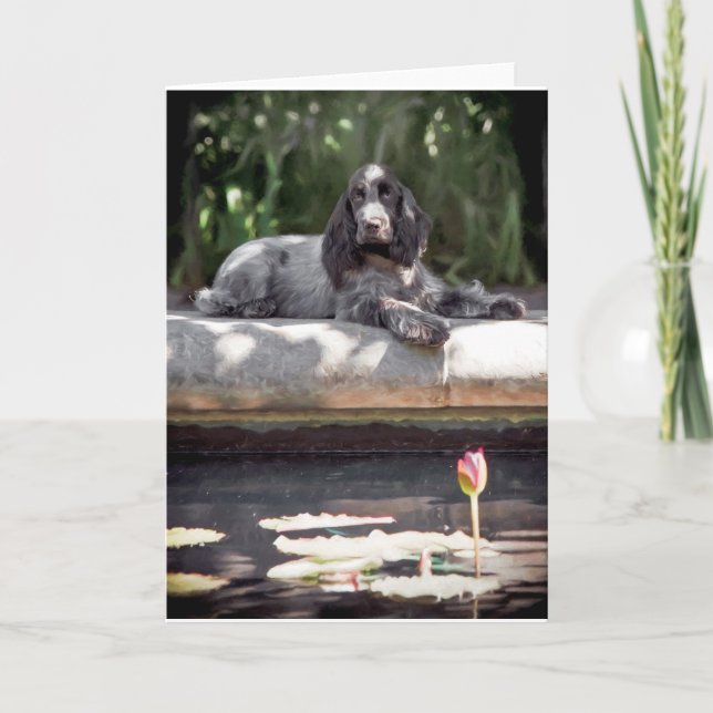 Carte anglaise Cocker Spaniel (Devant)