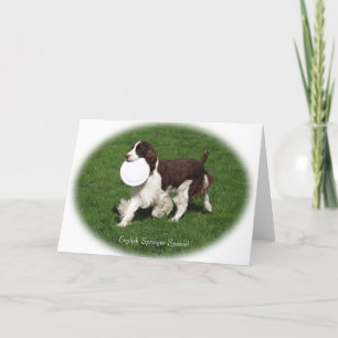 Carte anglaise Springer Spaniel Note