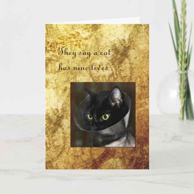 Carte Animal de compagnie se tirer bien avec le chat noi (Devant)