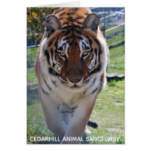 Carte animale de sanctuaire de Cedarhill