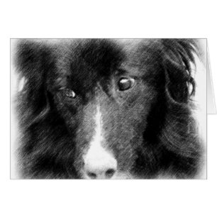 Carte animale noire d'art de border collie