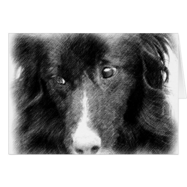Carte animale noire d'art de border collie (Devant Horizontal)