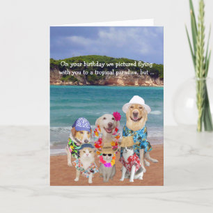Carte Animaux amusants Paradis tropical Anniversaire