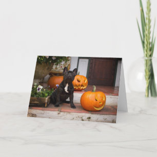 Carte Animaux bébés les plus mignons   Halloween Bouledo
