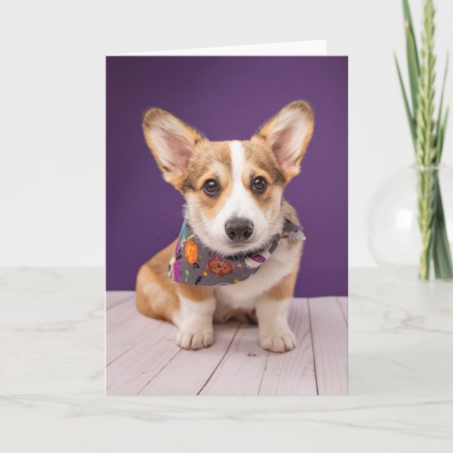 Carte Animaux Bébés les Plus Mignons | Halloween Corgi (Devant)