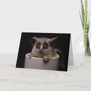 Carte Animaux de bébés cutest Bébé mignon