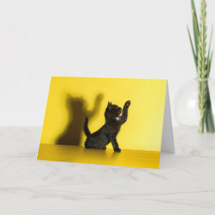 Carte Animaux de bébés cutest Black Cat Jouer
