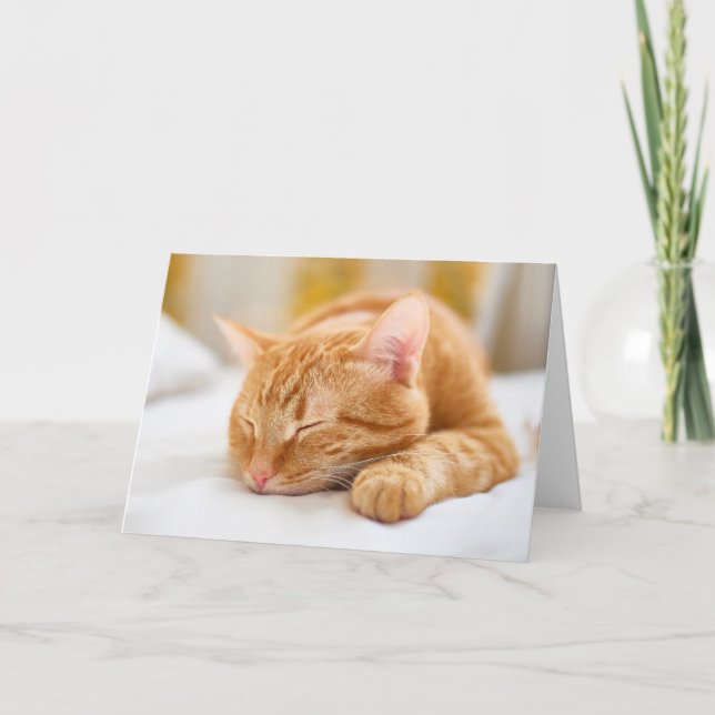 Carte Animaux de bébés cutest | Chat de gingembre dorman (Devant)