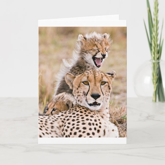 Carte Animaux de bébés cutest | Cheetah Cat & Cub (Devant)