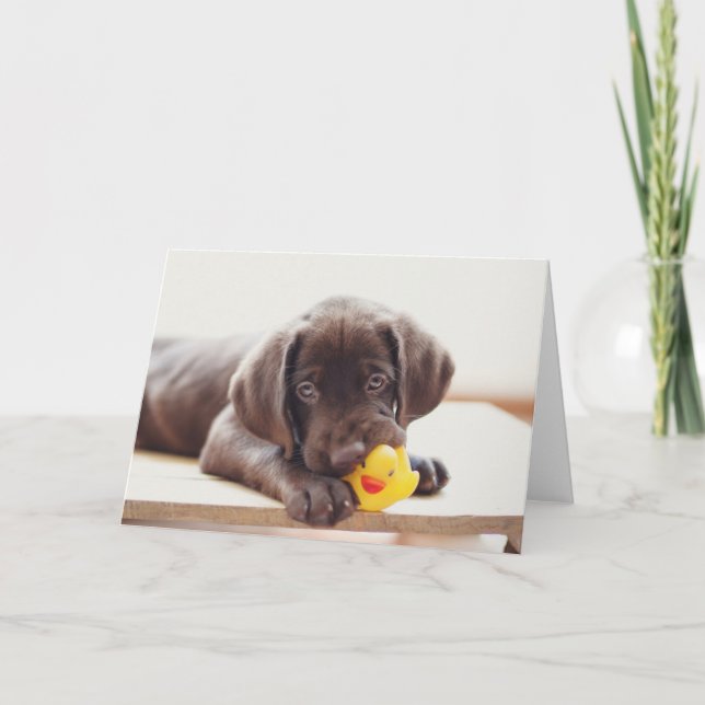 Carte Animaux de bébés cutest | Chocolat Labrador Puppy (Devant)