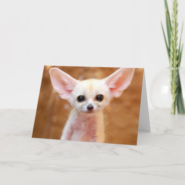 Carte Animaux de bébés cutest | Fennec Fox (Devant)