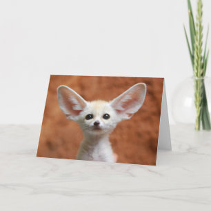 Carte Animaux de bébés cutest   Fennec Fox Pup