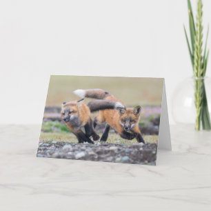 Carte Animaux de bébés cutest Fox Pups en jeu