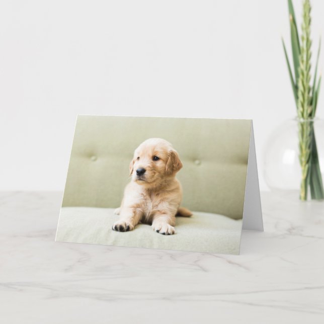 Carte Animaux de bébés cutest | Golden Retriever Puppy (Devant)