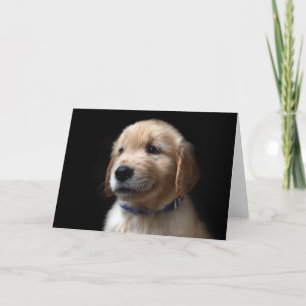 Carte Animaux de bébés cutest Golden Retriever Puppy