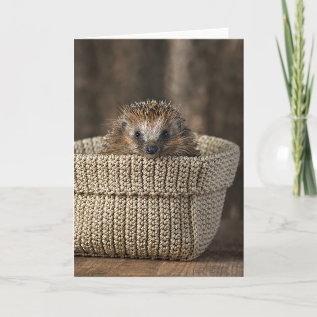 Carte Animaux de bébés cutest | Hérisson dans un panier (Devant)