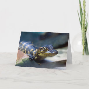 Carte Animaux de bébés cutest Jeune alligator