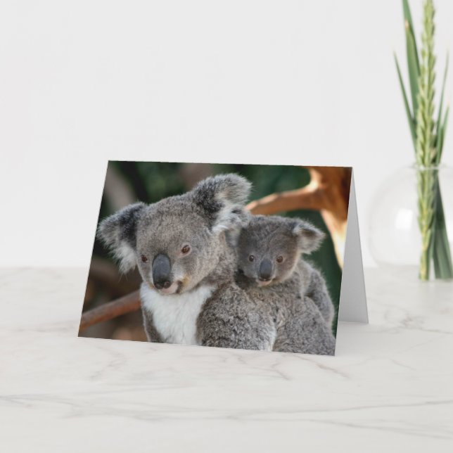 Carte Animaux de bébés cutest | Koala et Joey (Devant)