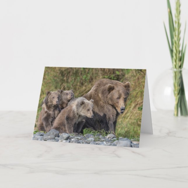 Carte Animaux de bébés cutest | Kodiak Mama Bear & Cubs (Devant)