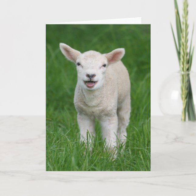 Carte Animaux de bébés cutest | Lil Lamb (Devant)