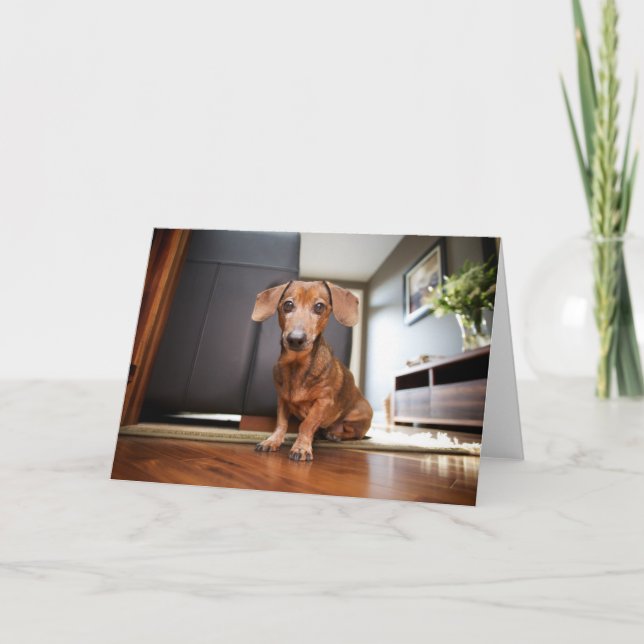 Carte Animaux de bébés cutest | Mini chiot (Devant)