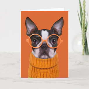 Carte Animaux de bébés cutest Orange Boston Terrier