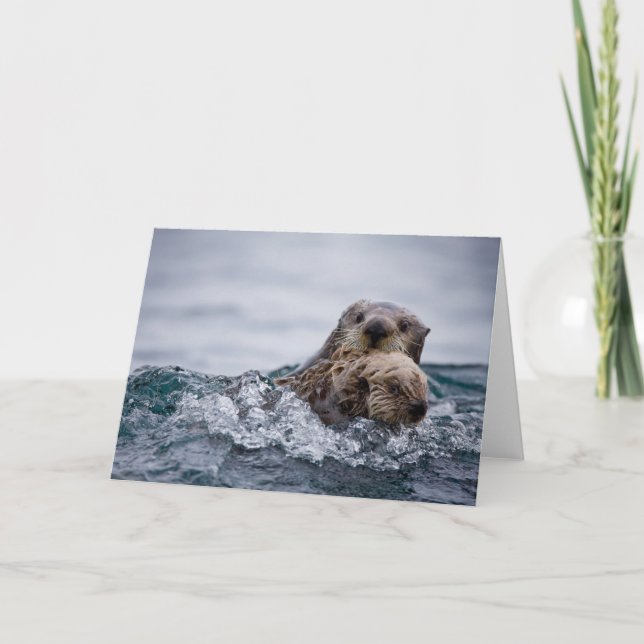 Carte Animaux de bébés cutest | Otter Baby & Mère (Devant)