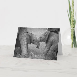 Carte Animaux de bébés cutest Salutation des éléphants