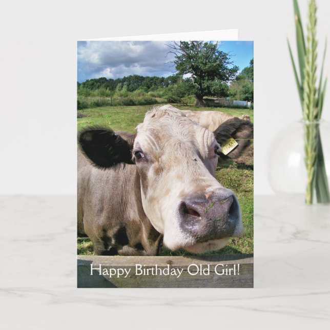 CARTE ANIMAUX DE LA FERME, VACHE COUPÉE (Devant)