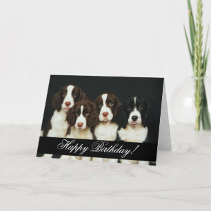 Carte Animaux domestiques 252 Joyeux anniversaire