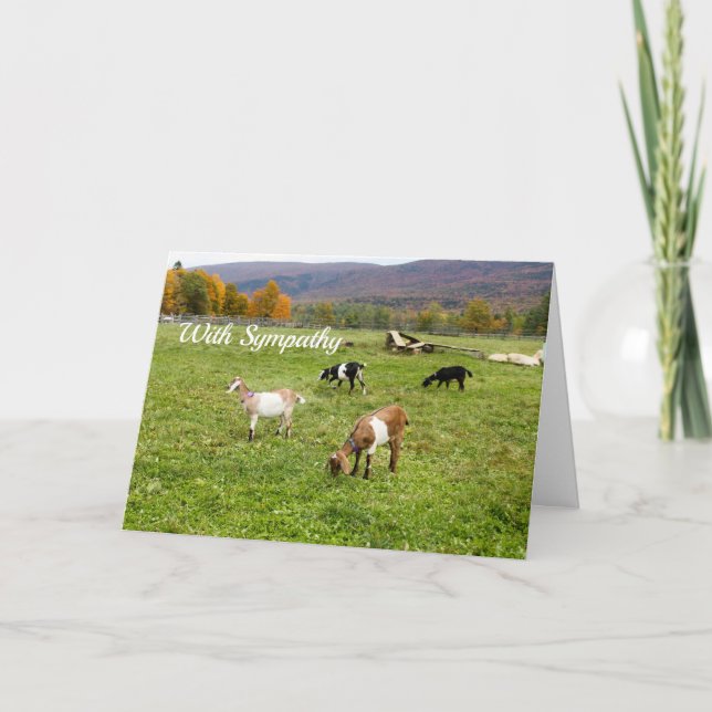 Carte Animaux Pasture de chèvres Sympathie photo Vermont (Devant)